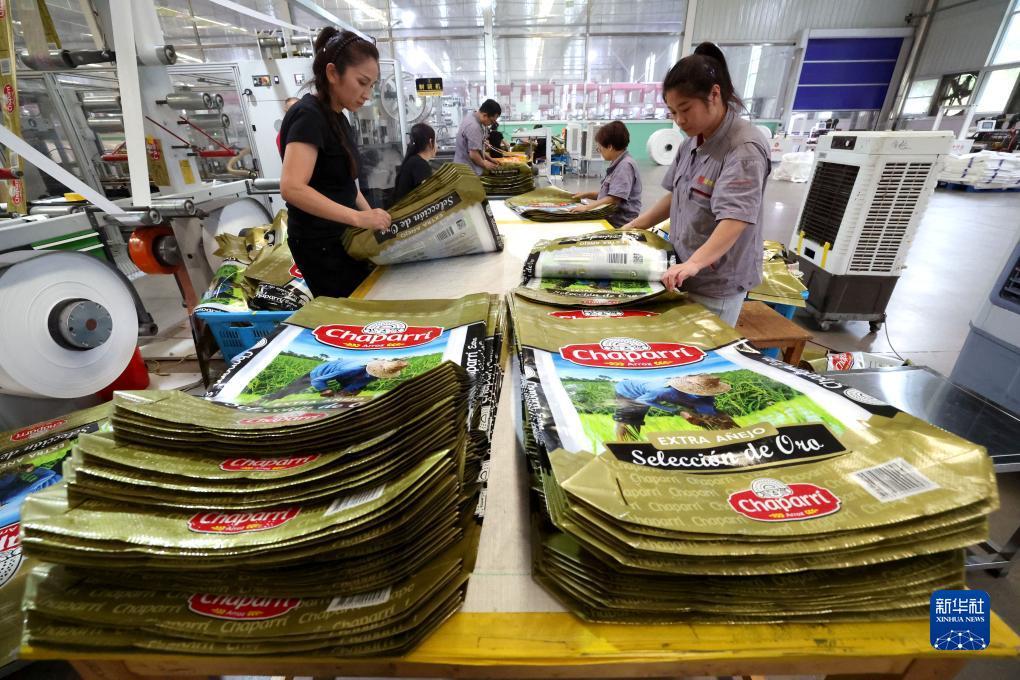博狗游戏开户